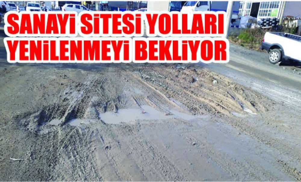 Sanayi Sitesi Yolları Yenilenmeyi Bekliyor