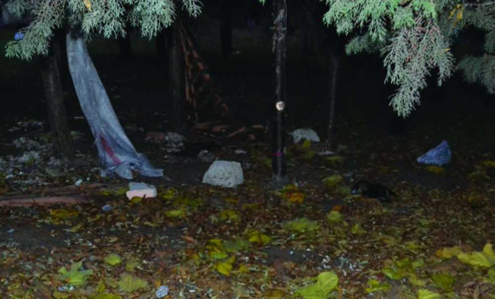 Okul Arazisi, Meyhane Oldu