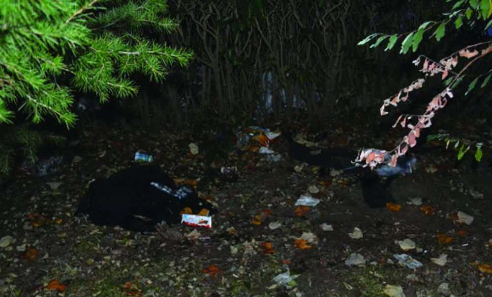 Okul Arazisi, Meyhane Oldu