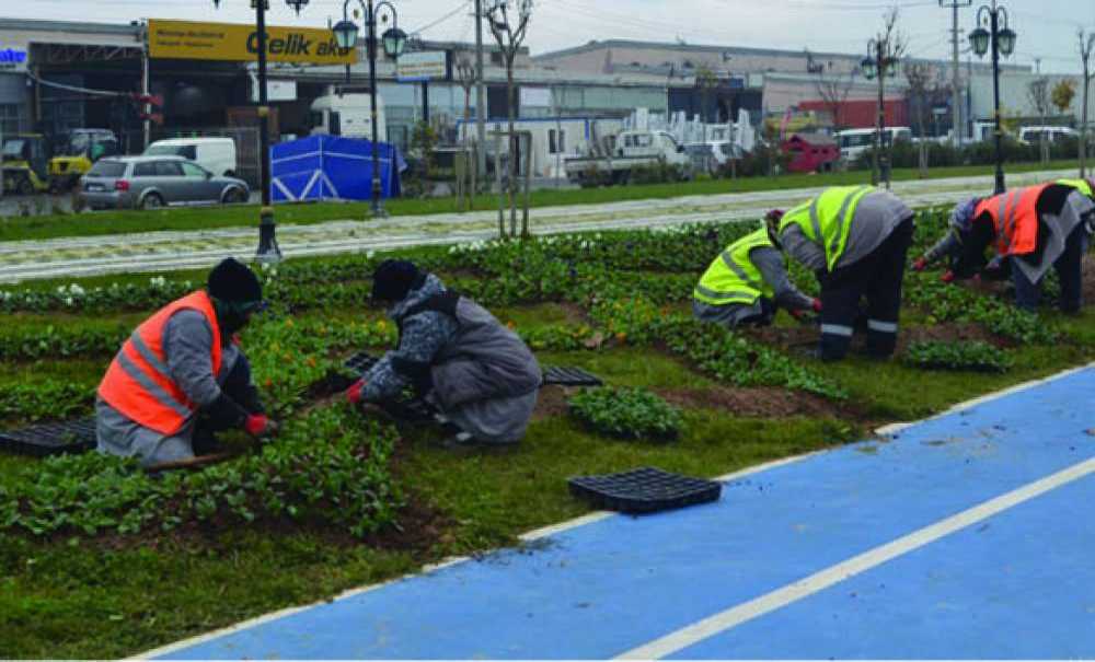 Zübeyde Hanım Parkı'na Çiçek Dikildi