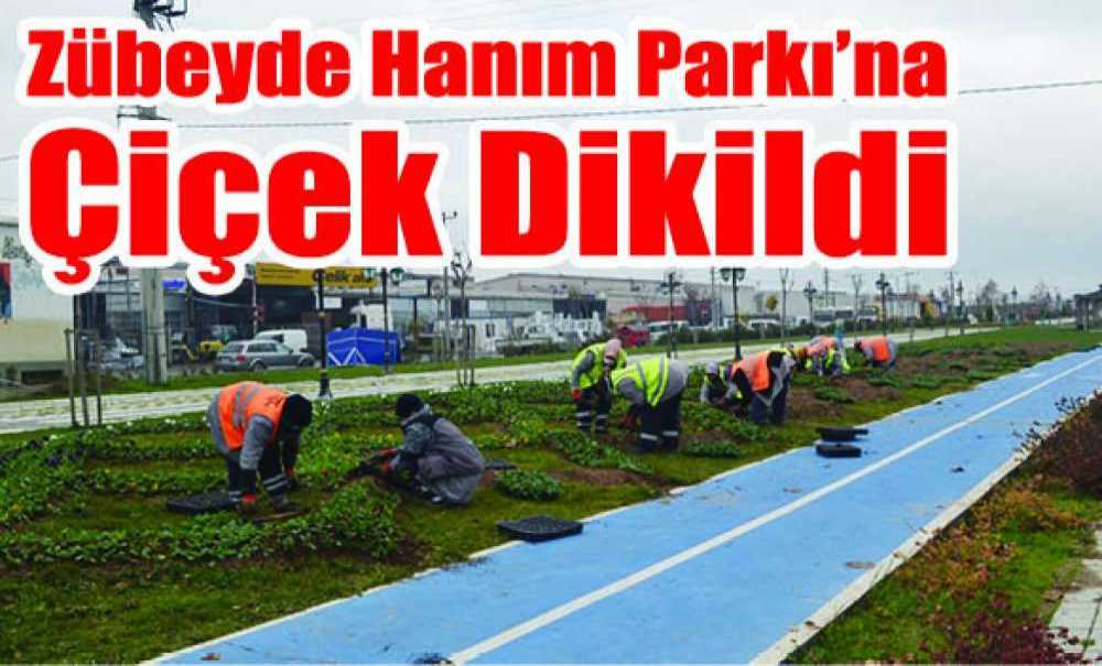 Zübeyde Hanım Parkı'na Çiçek Dikildi