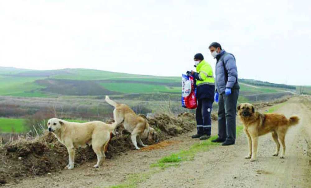 ‘Hayvan Dostu Belediye' Çalışmalarına Devam Ediyor