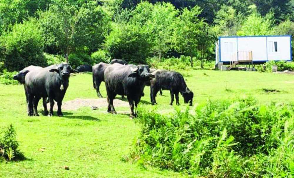 Tarımda Girdi Maliyetleri Yüzde 12 Arttı