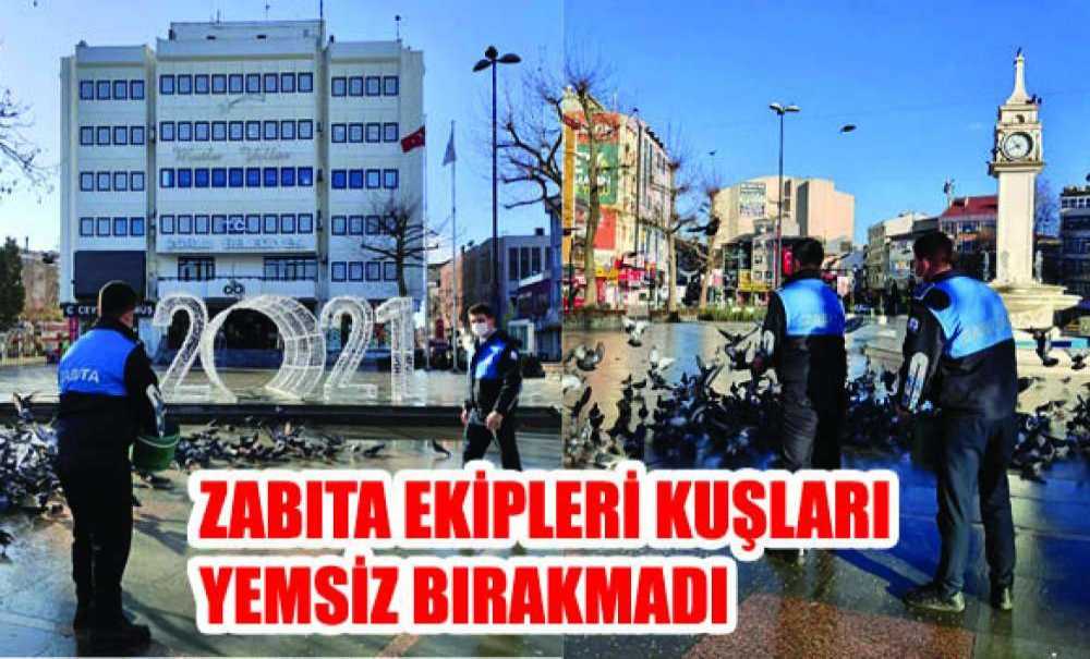 Zabıta Ekipleri Kuşları Yemsiz Bırakmadı