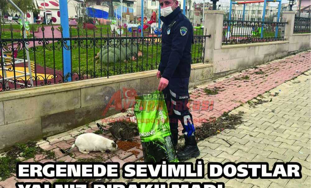 Ergene'deki Sevimli Dostlar Yalnız Bırakılmadı
