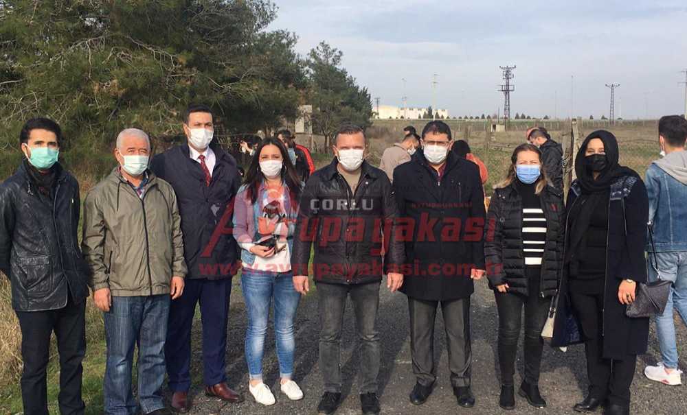 Ak Parti, Sokak Hayvanlarını Aç Bırakmadı