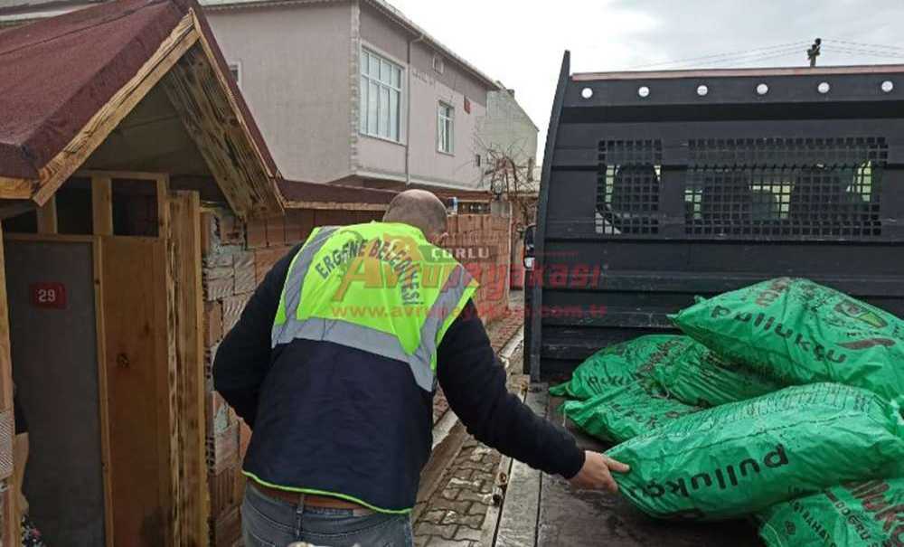 Ergene Belediyesi'nden İhtiyaç Sahiplerine Kömür Yardımı