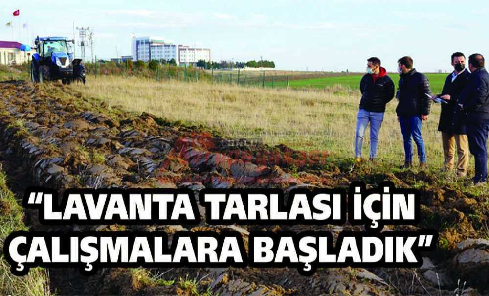 “Lavanta Tarlası İçin Çalışmalara Başladık”