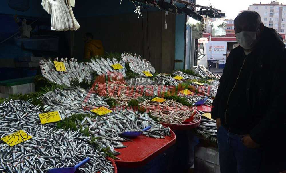 Hamsinin Kilosu 20 Liradan Satılıyor