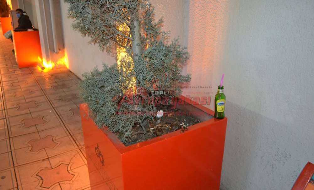 Bu Görüntülere Cezai İşlem Uygulansın!!!