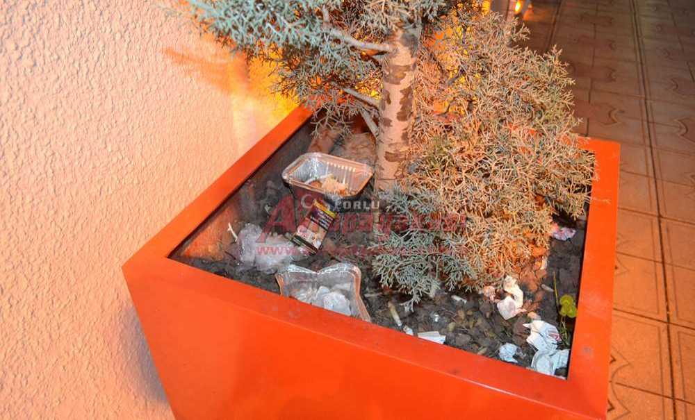 Bu Görüntülere Cezai İşlem Uygulansın!!!