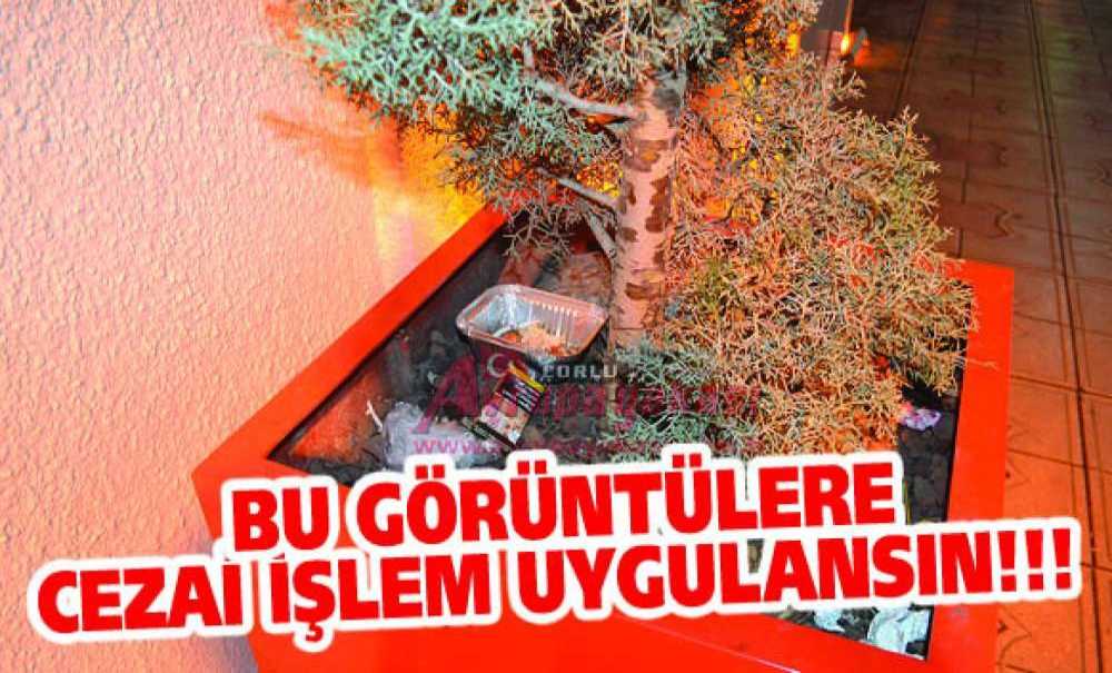 Bu Görüntülere Cezai İşlem Uygulansın!!!
