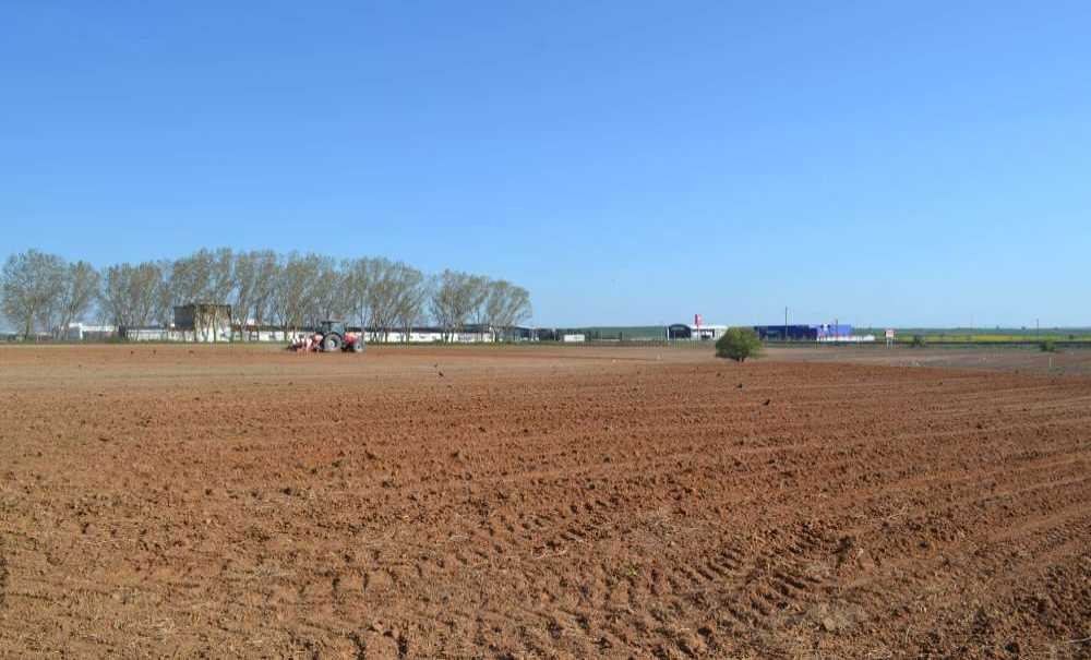 Yağışlar Tarımı Nasıl Etkiledi?