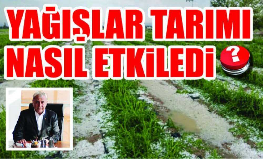 Yağışlar Tarımı Nasıl Etkiledi?