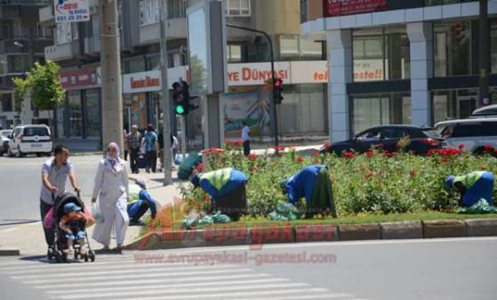Şehri Güzelleştirmeye Devam Ediyorlar