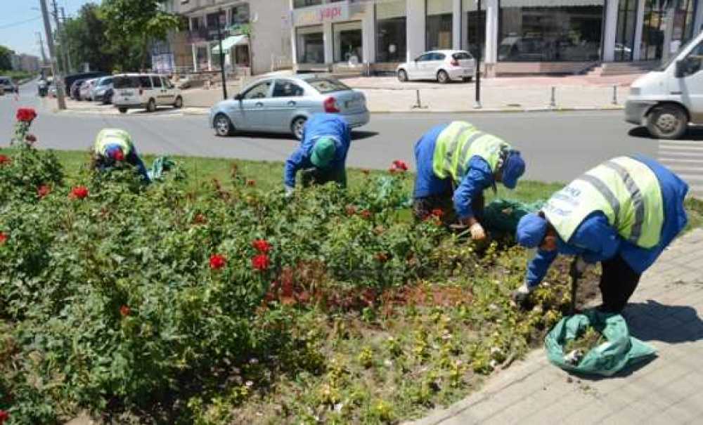 Şehri Güzelleştirmeye Devam Ediyorlar