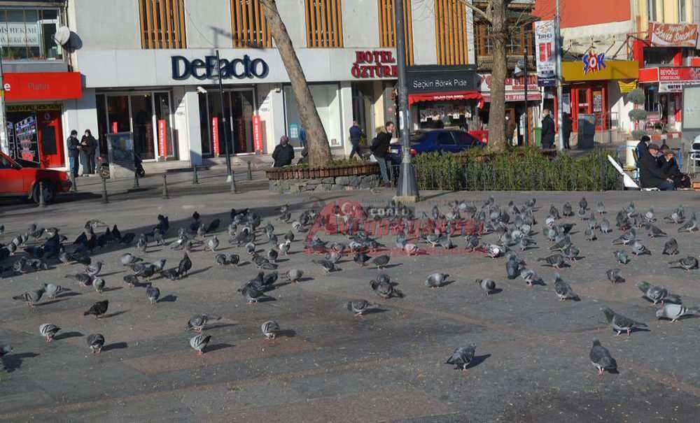 “Cumhuriyet Meydanı'ndaki Kuş Pislikleri Temizlensin”