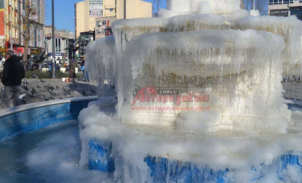Buz Tutan Havuz, Vatandaşın İlgisini Çekti