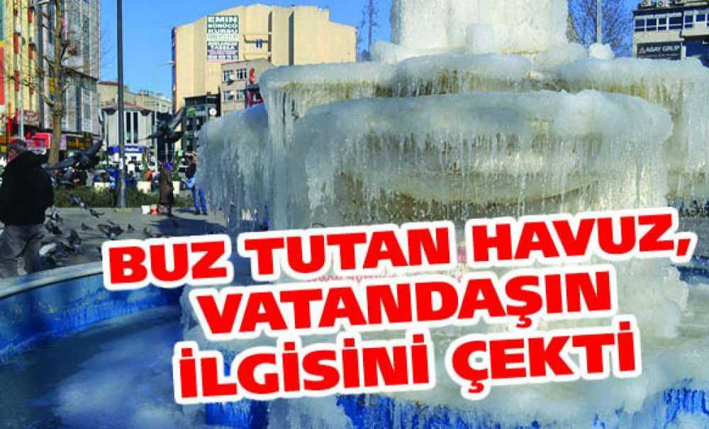 Buz Tutan Havuz, Vatandaşın İlgisini Çekti