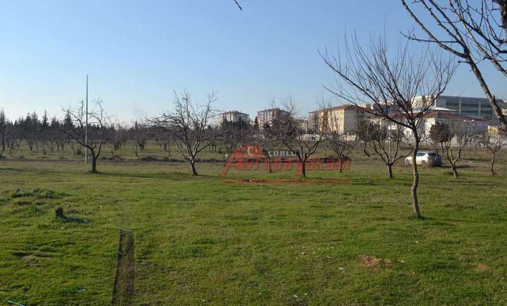 Yeşil Alanlarımıza Sahip Çıkalım