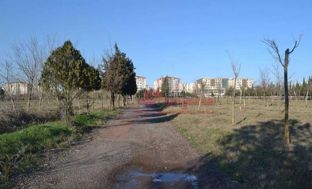 Yeşil Alanlarımıza Sahip Çıkalım