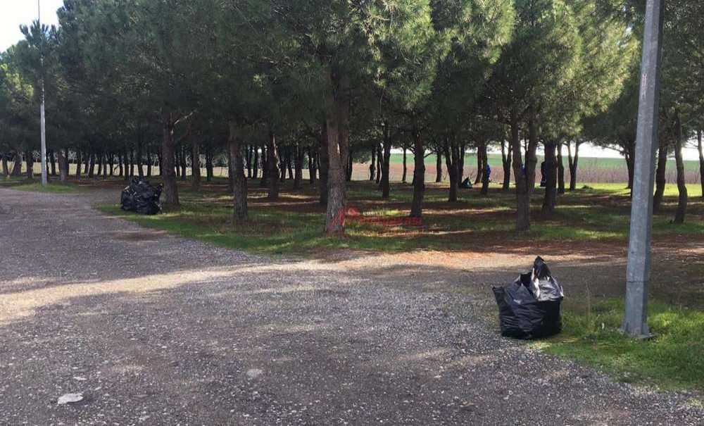 Yeşil Alanlarımıza Sahip Çıkalım