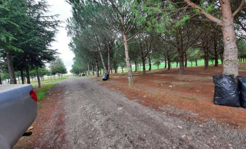 Yeşil Alanlarımıza Sahip Çıkalım