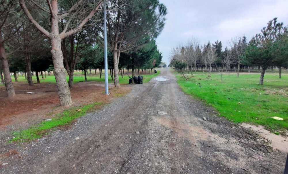 Yeşil Alanlarımıza Sahip Çıkalım