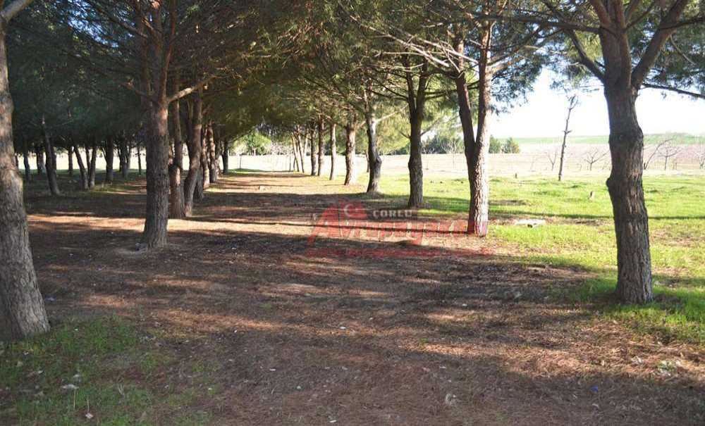 Yeşil Alanlarımıza Sahip Çıkalım