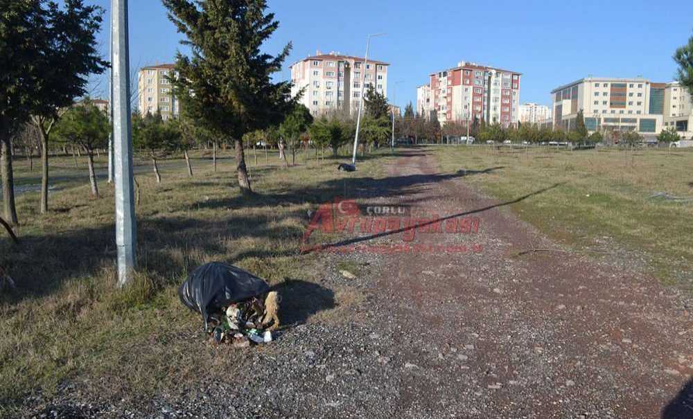 Yeşil Alanlarımıza Sahip Çıkalım