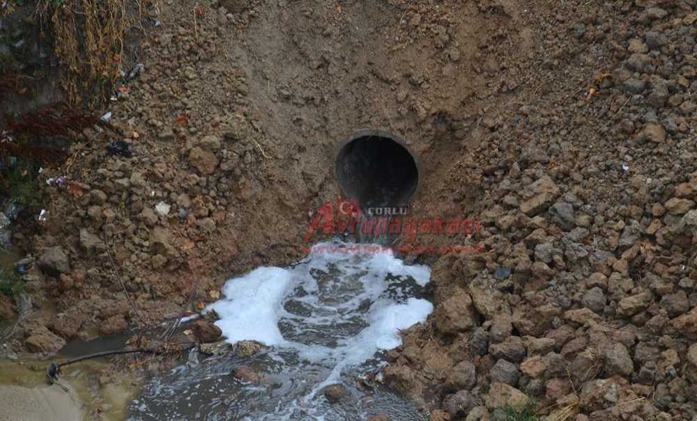 Dere, Bu Yıl Islah Edilecek