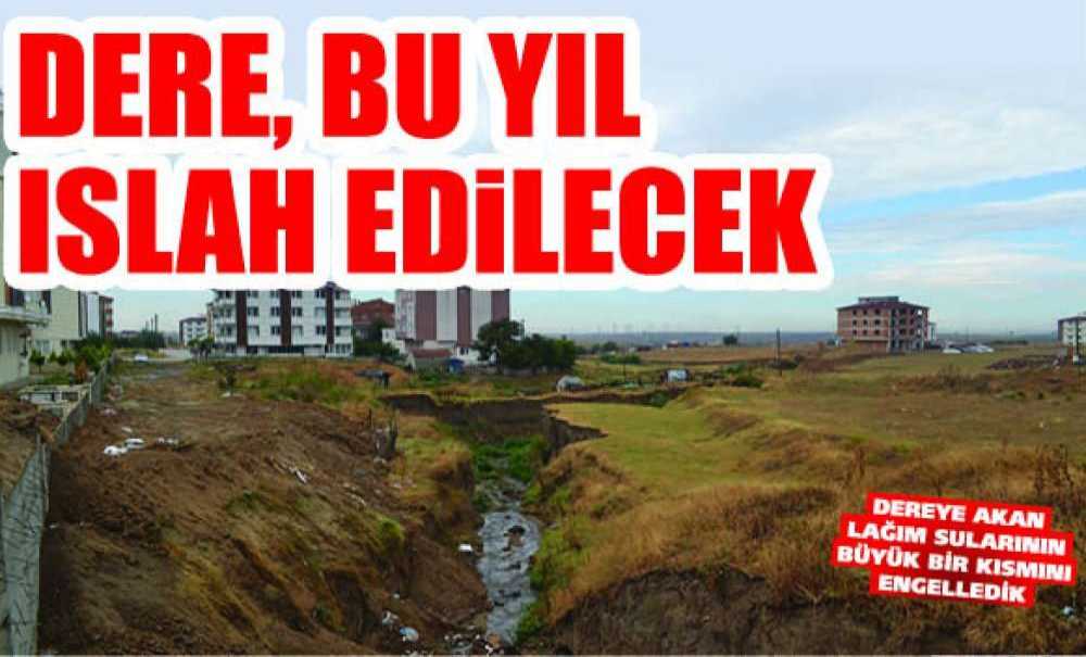 Dere, Bu Yıl Islah Edilecek
