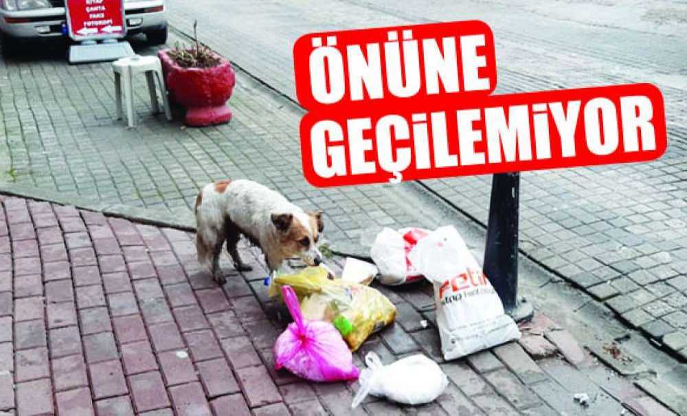 Sokağa Çöp Atmanın Önüne Geçilemiyor