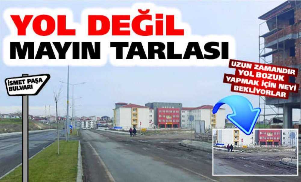 Yol Değil Mayın Tarlası