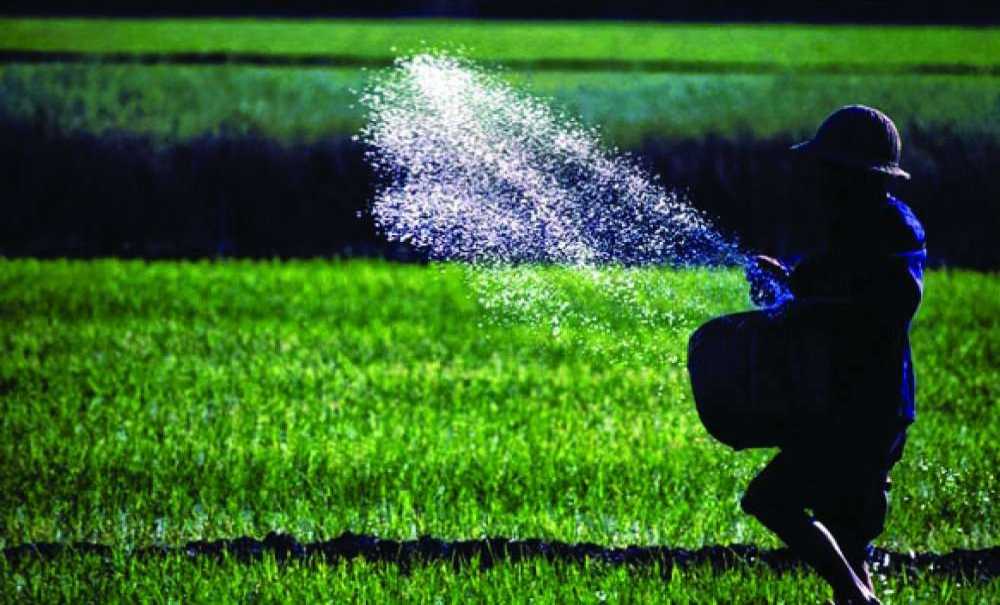 “Gübreye Hibe Desteği Verilmeli”