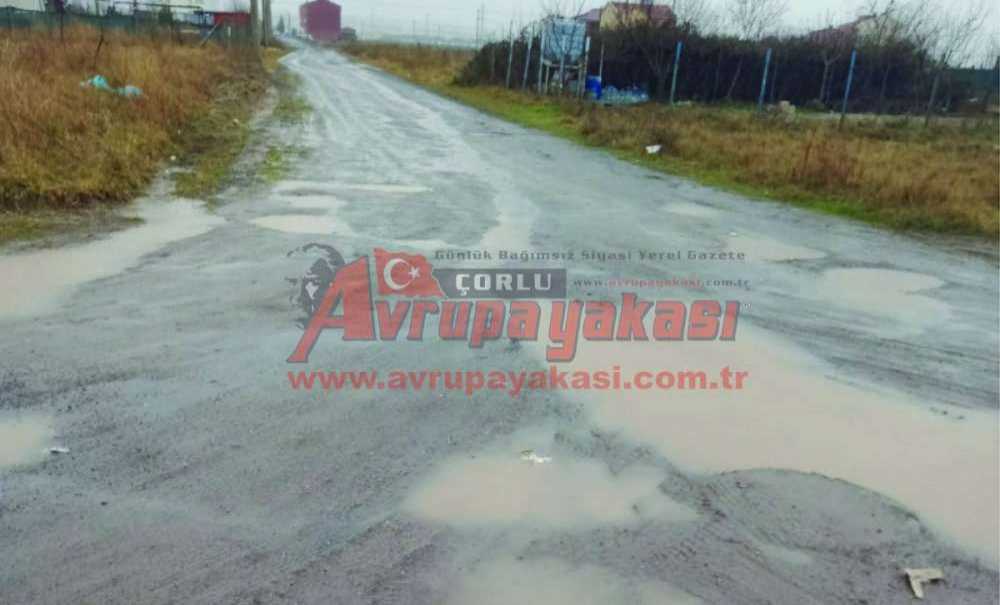 Yıl 2021, Çorlu'dan Yol Manzaraları