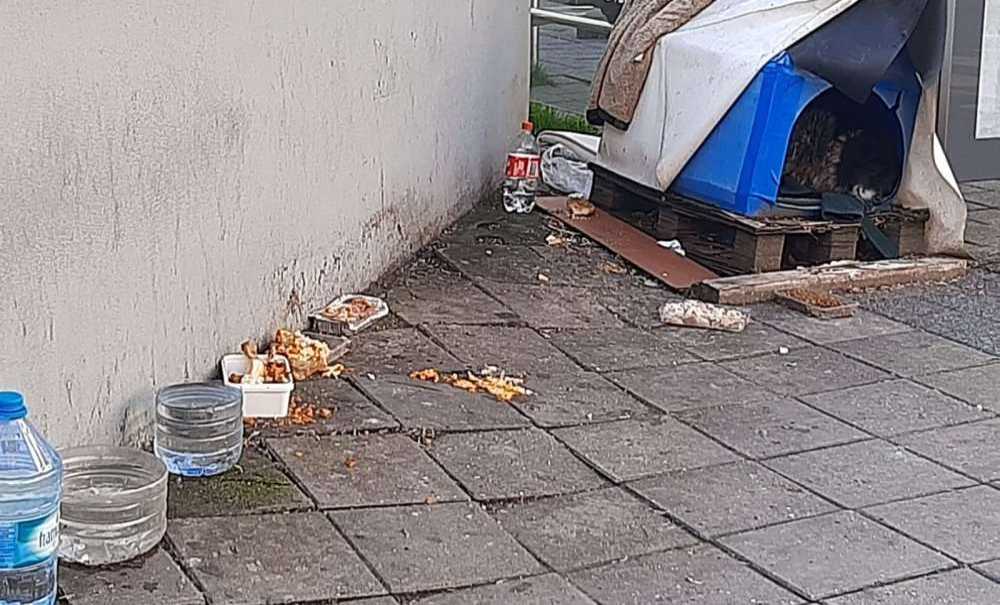 Gelişi Güzel Bırakılan Yiyecekler Kötü Görüntüye Neden Oluyor