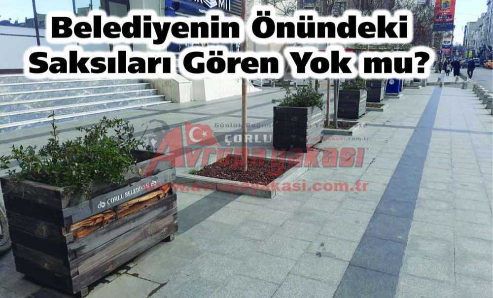 Belediyenin Önündeki Saksıları Gören Yok Mu?