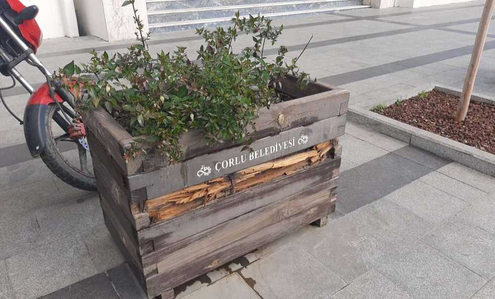 Belediyenin Önündeki Saksıları Gören Yok Mu?