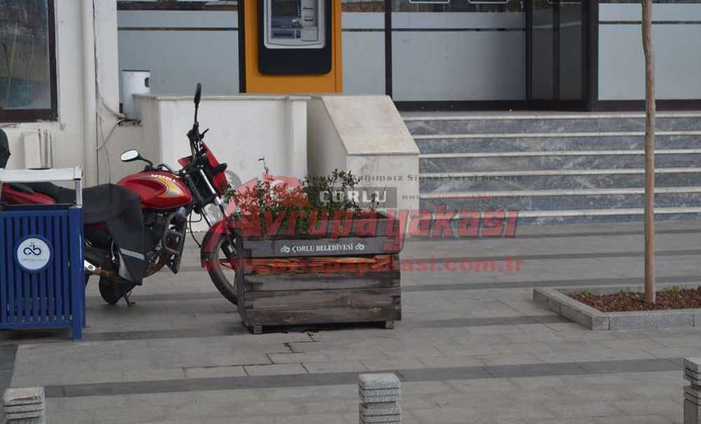 Belediyenin Önündeki Saksıları Gören Yok Mu?