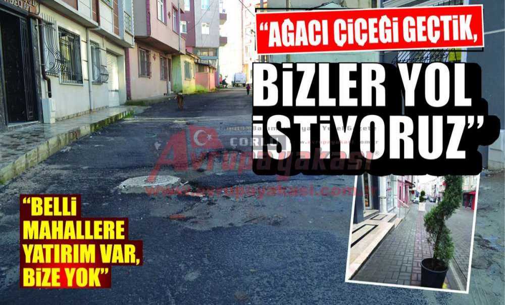 “Ağacı Çiçeği Geçtik, Bizler Yol İstiyoruz”