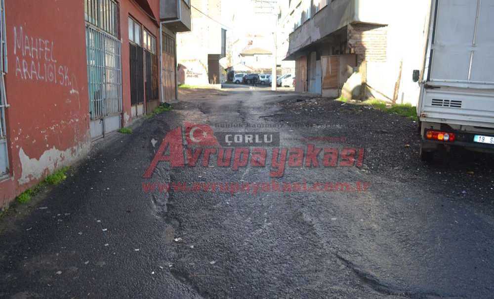 “Ağacı Çiçeği Geçtik, Bizler Yol İstiyoruz”