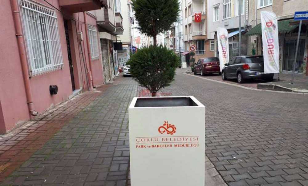 “Ağacı Çiçeği Geçtik, Bizler Yol İstiyoruz”