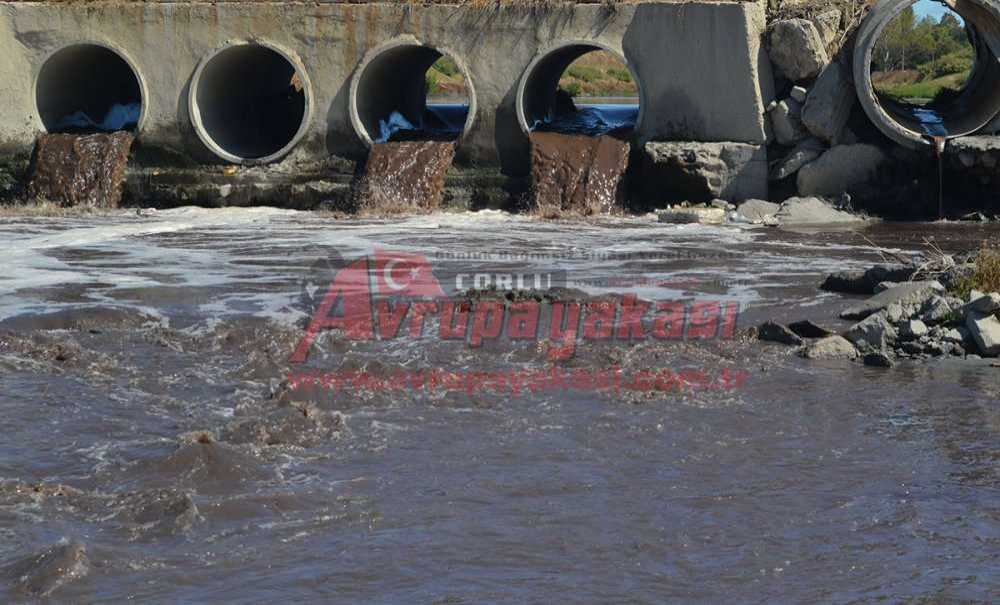 “Temizlendikten Sonra Tarımda Sulama Yapacağız”