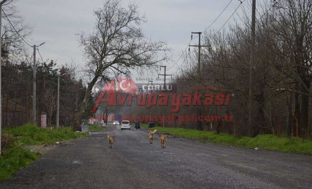 Boş Kalan Fabrikaları, Madde Bağımlıları Kullanıyor