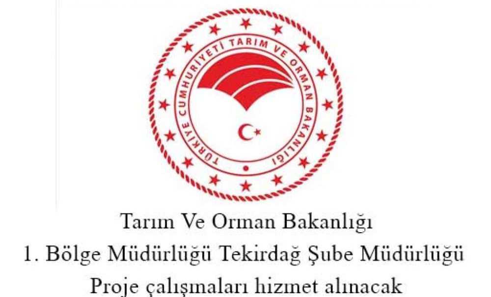 Proje Çalışmaları Hizmet Alınacak