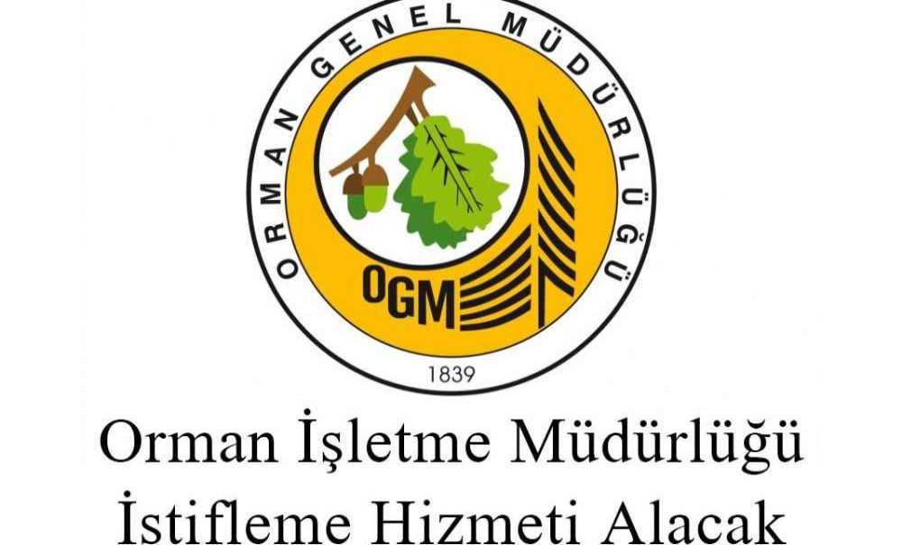 Orman İşletme Müdürlüğü İstifleme Hizmeti Alınacak