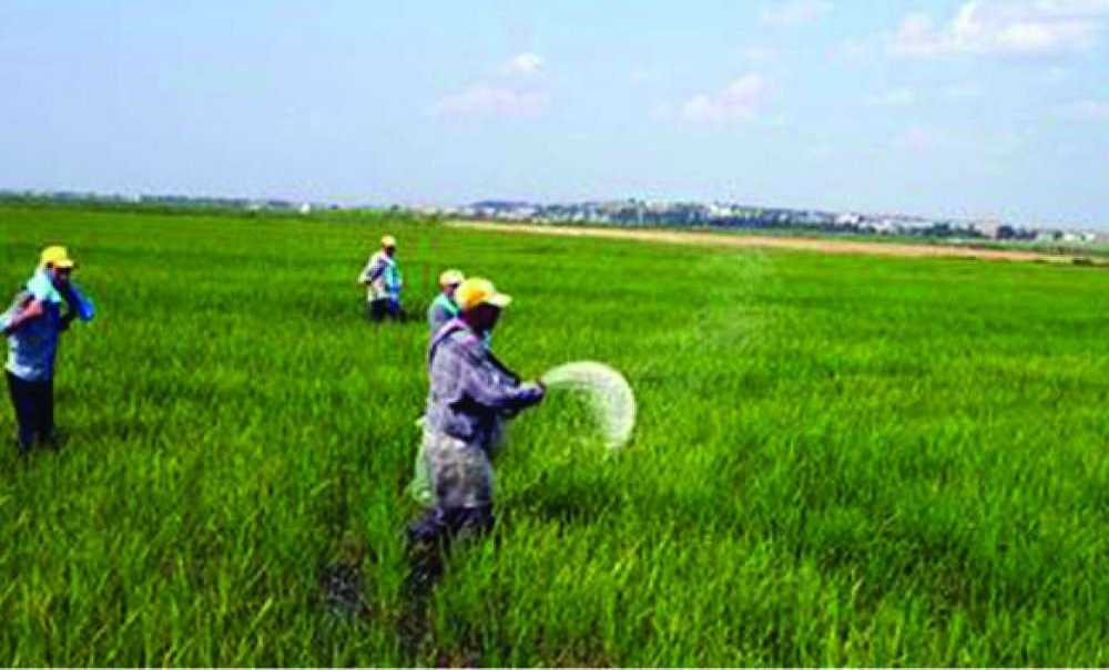 Gübre Desteklemeleri Yüzde 100 Arttı