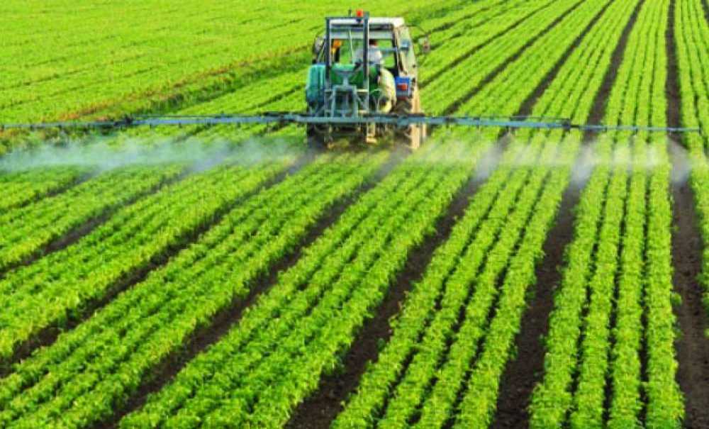 Gübre Desteklemeleri Yüzde 100 Arttı