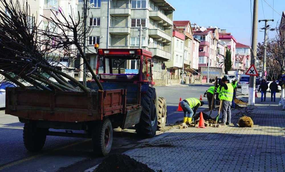 Çorlu'da Ağaçlandırma Çalışmaları Sürüyor